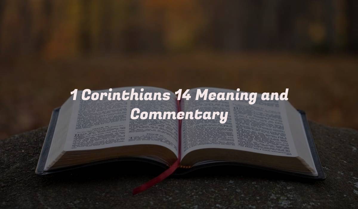 1 Corinthians 14 Meaning and Commentary