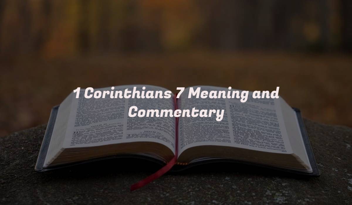 1 Corinthians 7 Meaning and Commentary