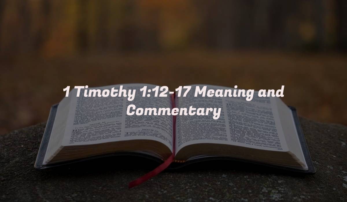 1 Timothy 1:12-17 Meaning and Commentary