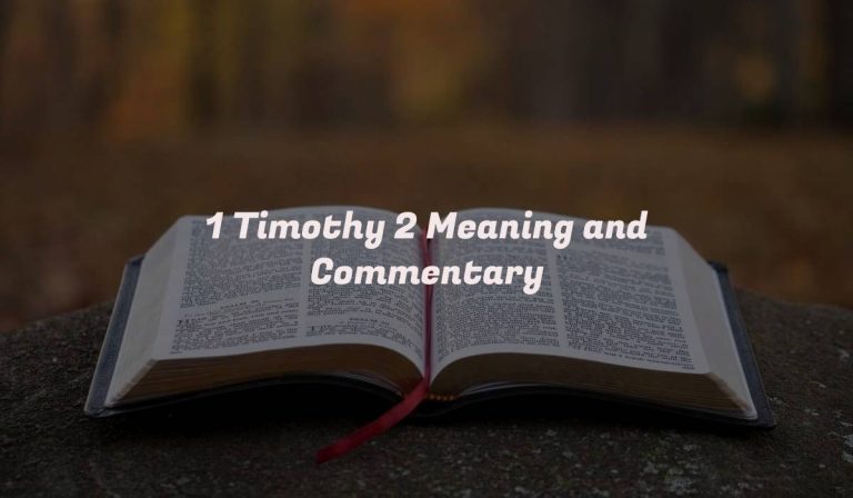 1 Timothy 2 Meaning and Commentary