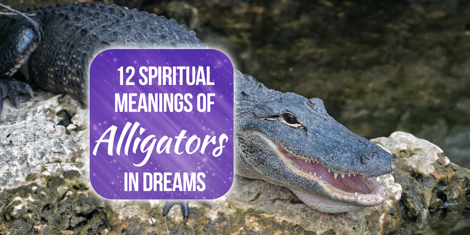 spiritual meaning of alligators in dreams