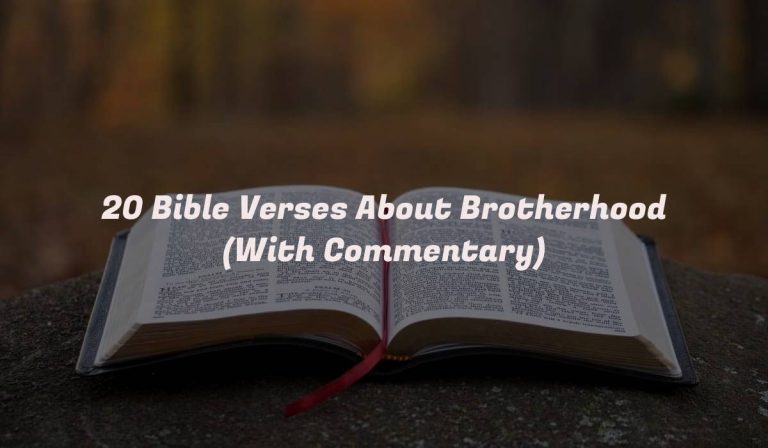 20 Bible Verses About Brotherhood (With Commentary)