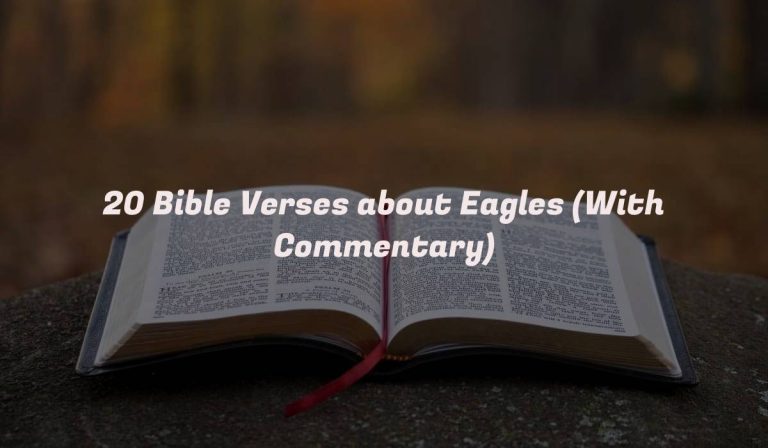 20 Bible Verses about Eagles (With Commentary)