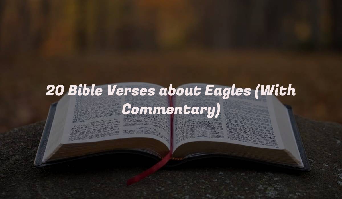 20 Bible Verses about Eagles (With Commentary)