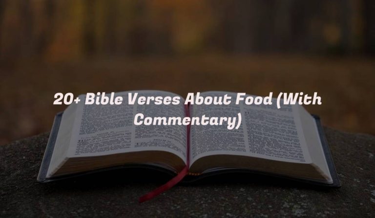 20+ Bible Verses About Food (With Commentary)