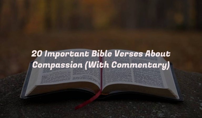 20 Important Bible Verses About Compassion (With Commentary)