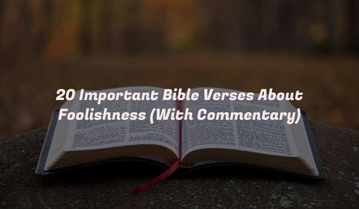 20 Important Bible Verses About Foolishness (With Commentary)