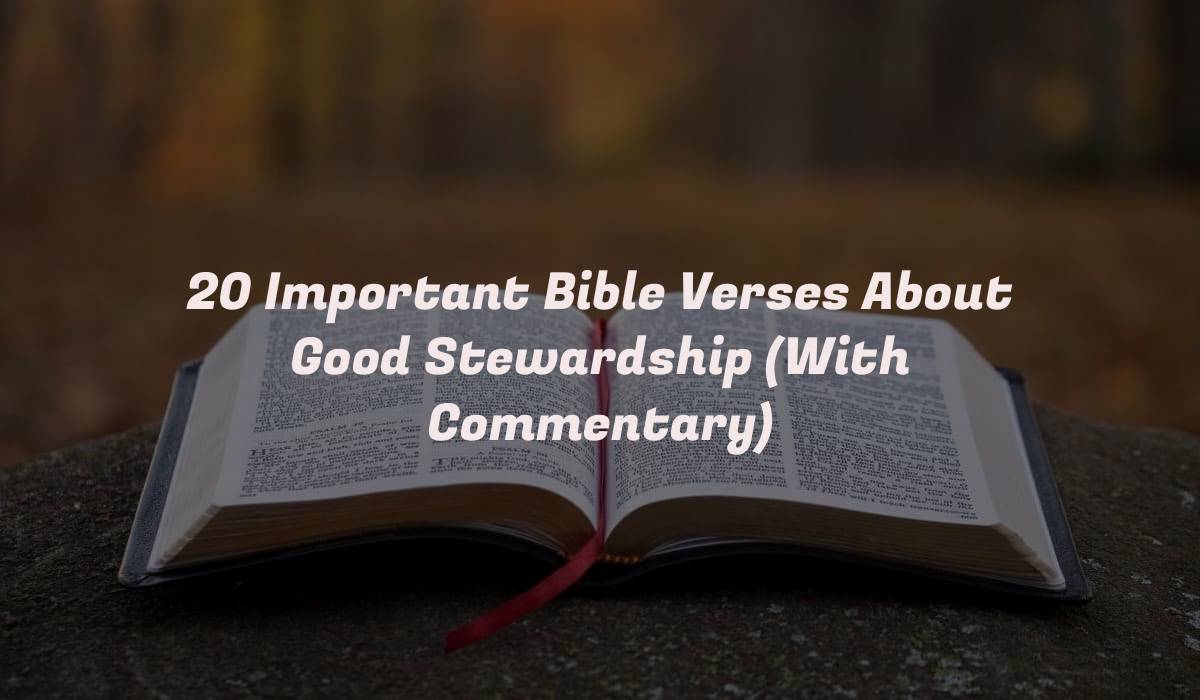 20 Important Bible Verses About Good Stewardship (With Commentary)