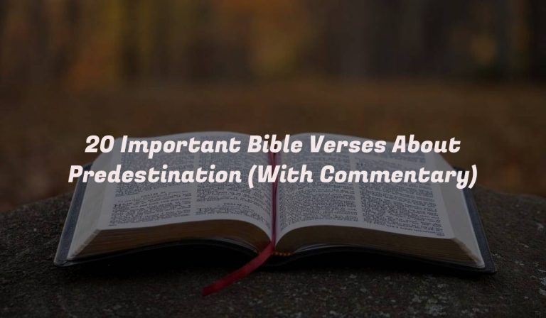 20 Important Bible Verses About Predestination (With Commentary)