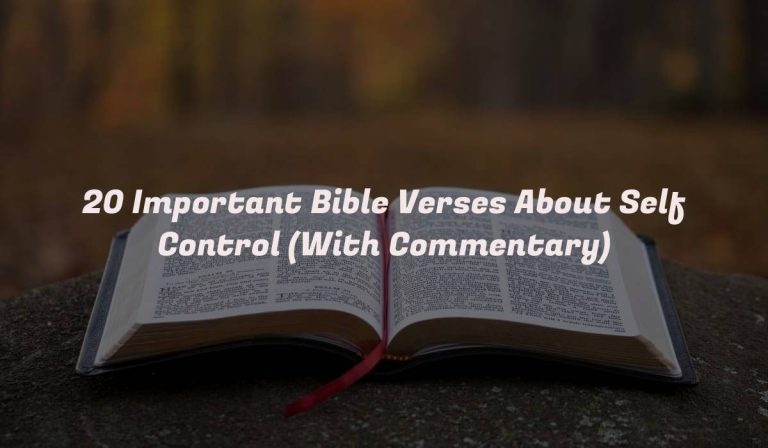 20 Important Bible Verses About Self Control (With Commentary)