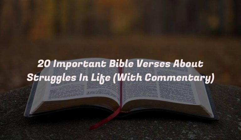 20 Important Bible Verses About Struggles In Life (With Commentary)