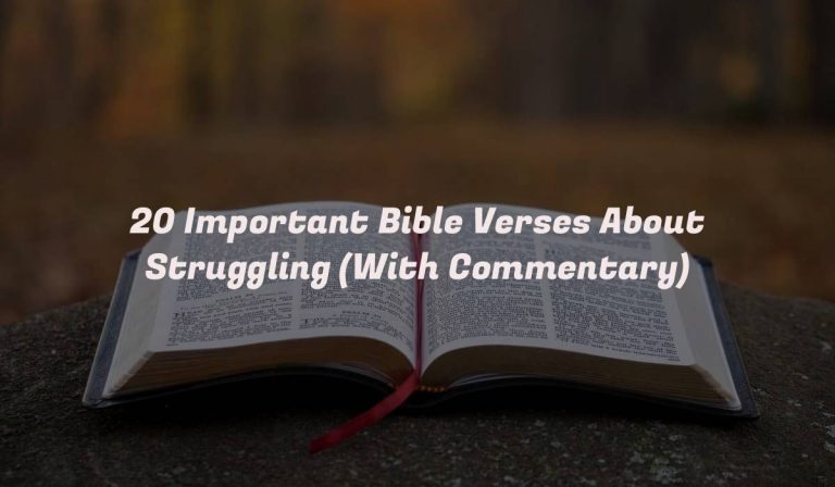 20 Important Bible Verses About Struggling (With Commentary)