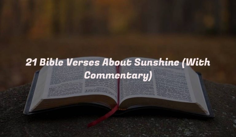 21 Bible Verses About Sunshine (With Commentary)
