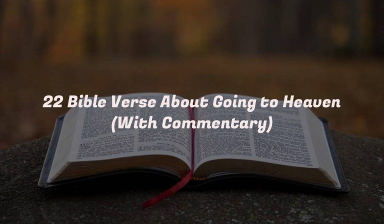 22 Bible Verse About Going to Heaven (With Commentary)