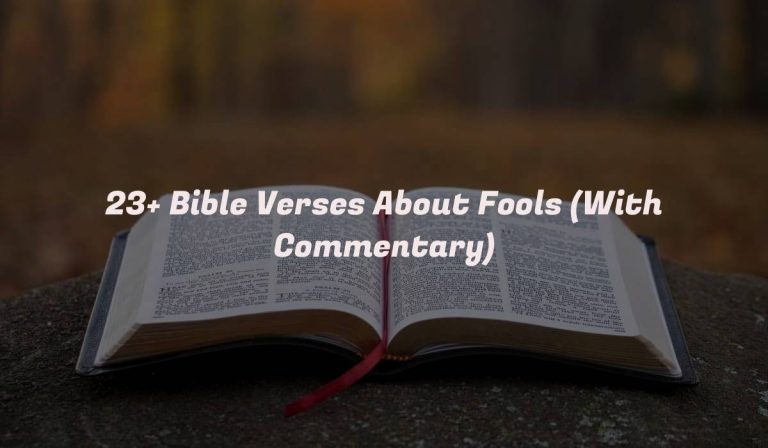 23+ Bible Verses About Fools (With Commentary)