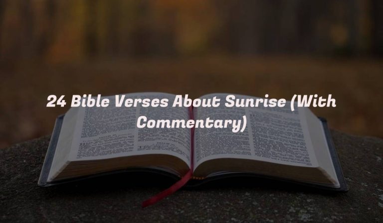 24 Bible Verses About Sunrise (With Commentary)