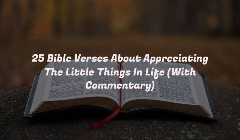 25 Bible Verses About Appreciating The Little Things In Life (With Commentary)