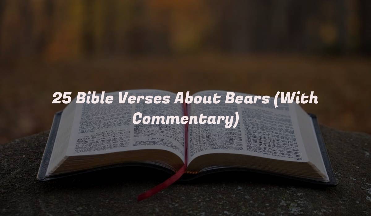 25 Bible Verses About Bears (With Commentary)