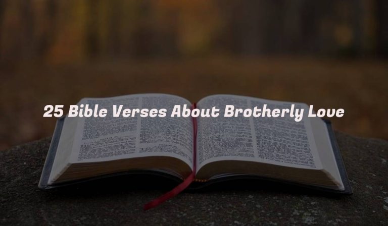 25 Bible Verses About Brotherly Love