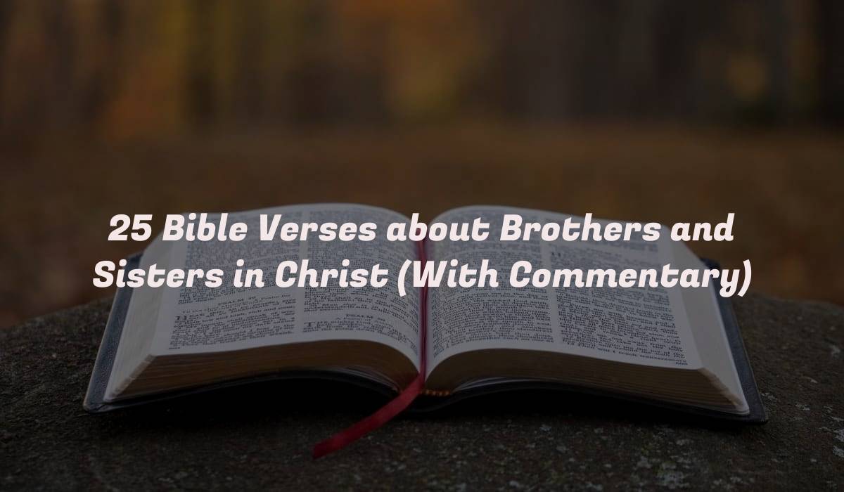 25 Bible Verses about Brothers and Sisters in Christ (With Commentary)