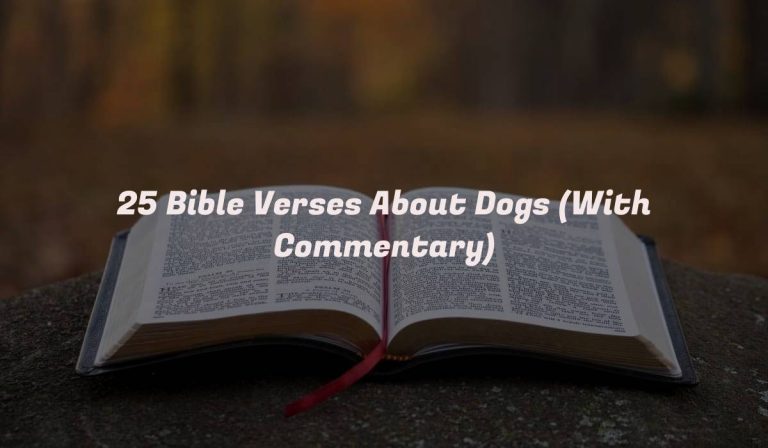 25 Bible Verses About Dogs (With Commentary)