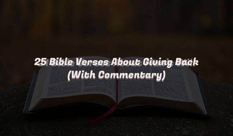 25 Bible Verses About Giving Back (With Commentary)