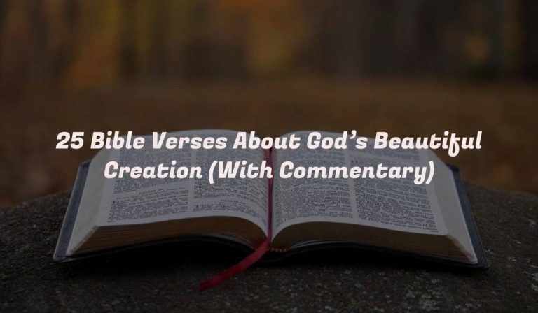 25 Bible Verses About God’s Beautiful Creation (With Commentary)