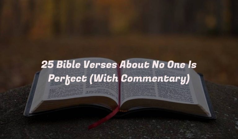 25 Bible Verses About No One Is Perfect (With Commentary)