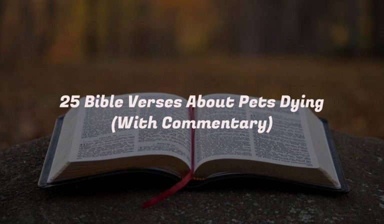 25 Bible Verses About Pets Dying (With Commentary)