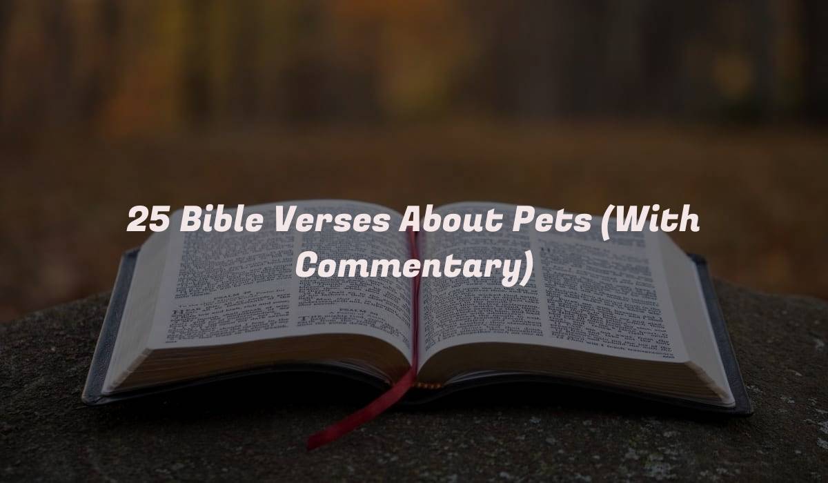 25 Bible Verses About Pets (With Commentary)