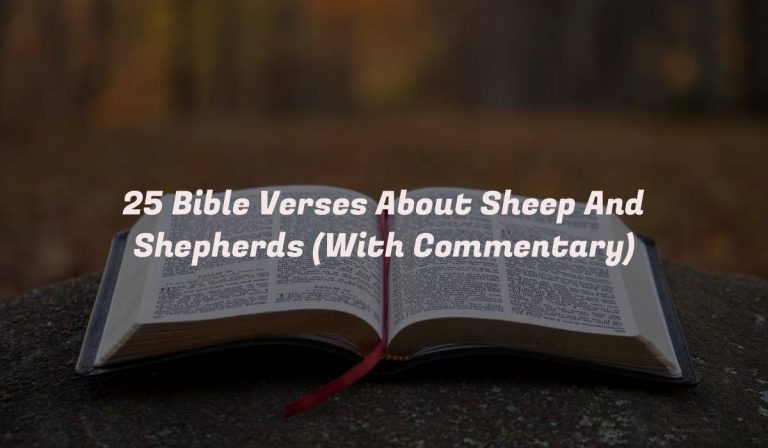 25 Bible Verses About Sheep And Shepherds (With Commentary)