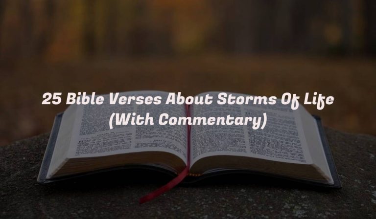 25 Bible Verses About Storms Of Life (With Commentary)