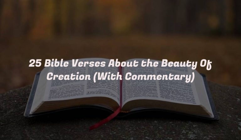 25 Bible Verses About the Beauty Of Creation (With Commentary)