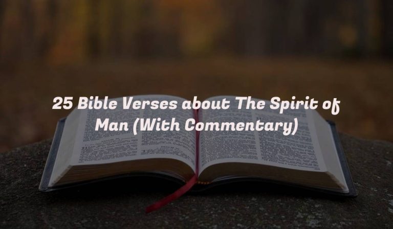 25 Bible Verses about The Spirit of Man (With Commentary)