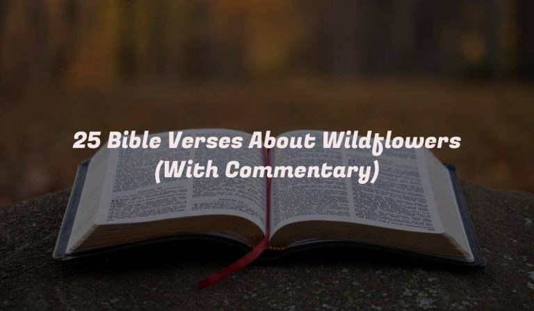 25 Bible Verses About Wildflowers (With Commentary)