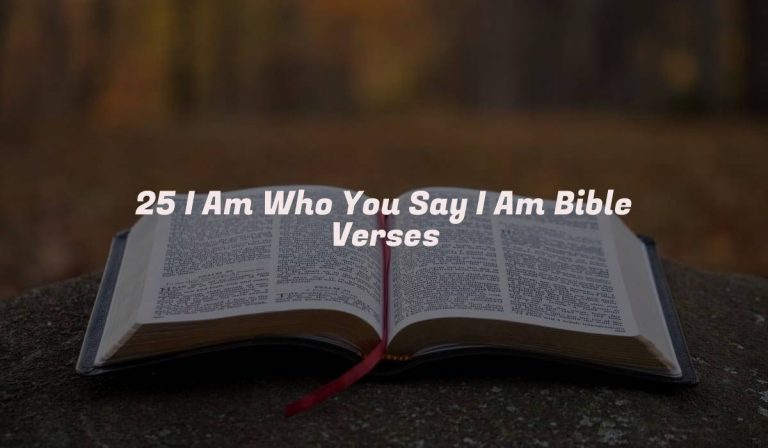 25 I Am Who You Say I Am Bible Verses
