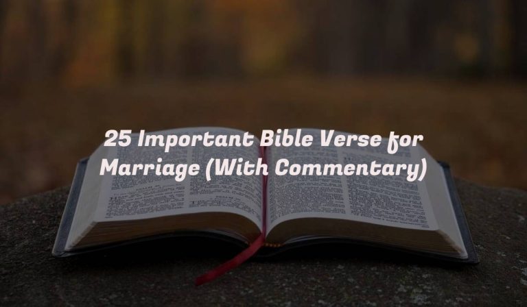 25 Important Bible Verse for Marriage (With Commentary)