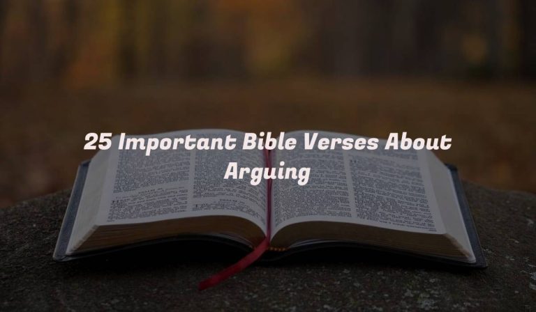 25 Important Bible Verses About Arguing