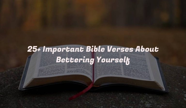 25+ Important Bible Verses About Bettering Yourself
