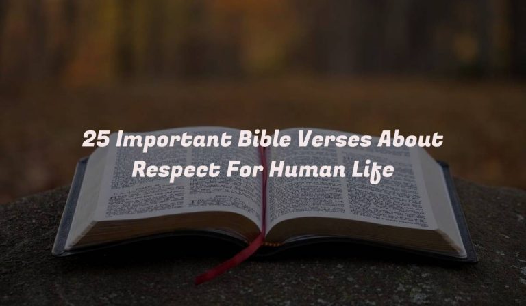 25 Important Bible Verses About Respect For Human Life