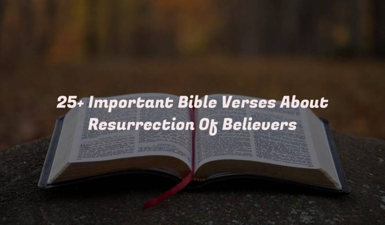 25+ Important Bible Verses About Resurrection Of Believers