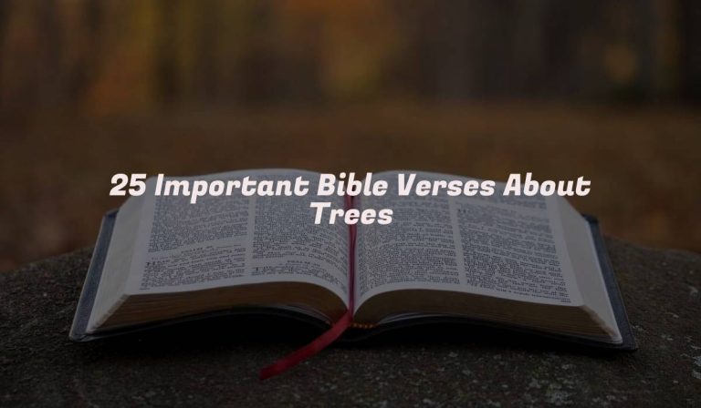 25 Important Bible Verses About Trees