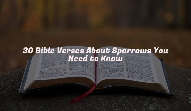 30 Bible Verses About Sparrows You Need to Know