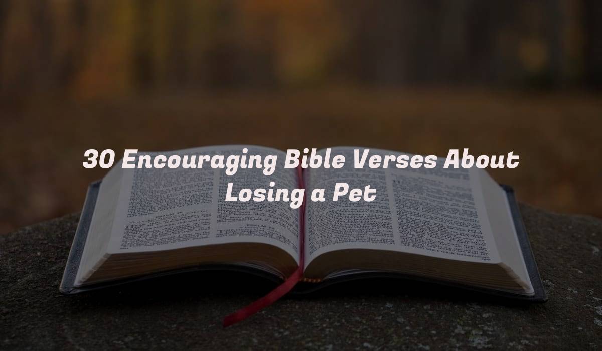 30 Encouraging Bible Verses About Losing a Pet