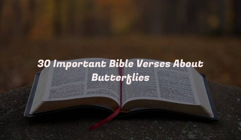 30 Important Bible Verses About Butterflies