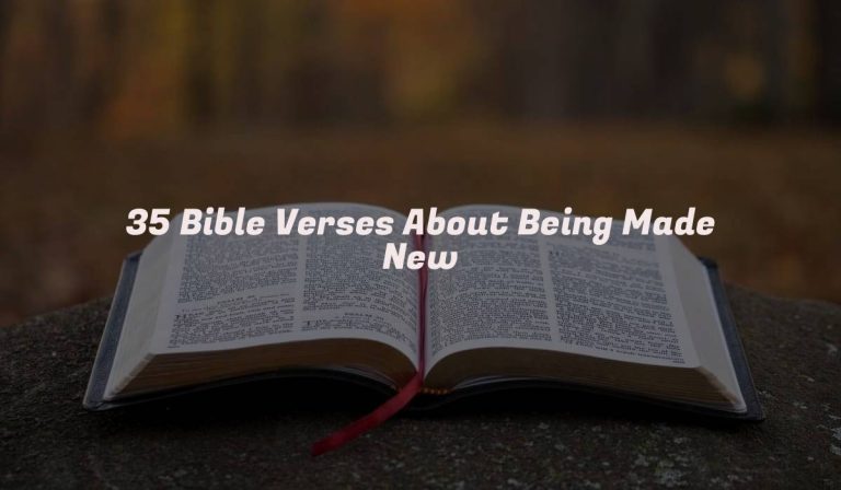 35 Bible Verses About Being Made New