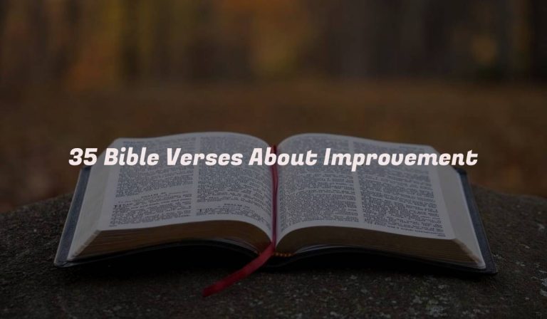 35 Bible Verses About Improvement