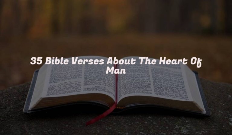 35 Bible Verses About The Heart Of Man
