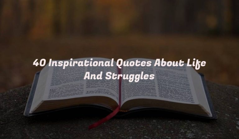 40 Inspirational Quotes About Life And Struggles