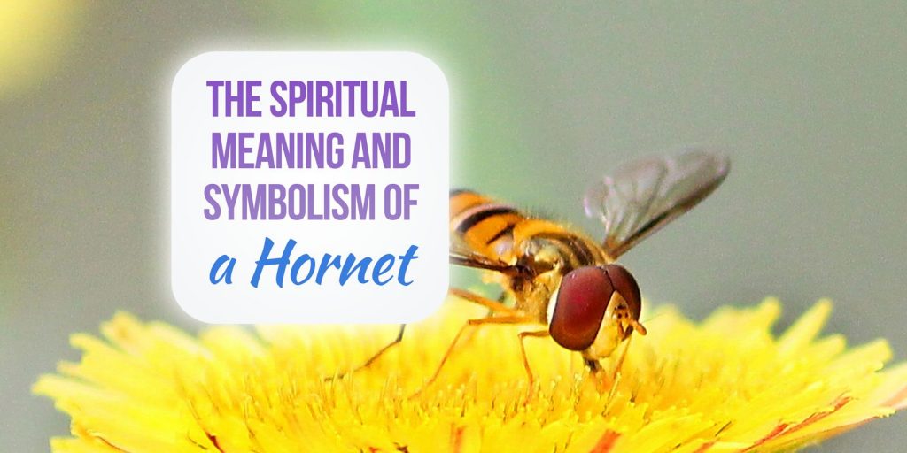 hornet spiritual meaning